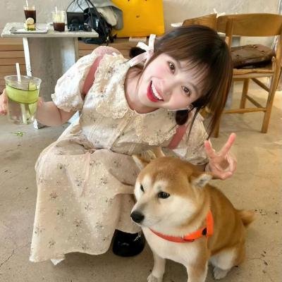 动漫综艺