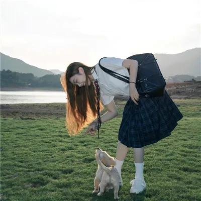 海豚伯尼2